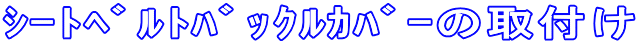 ޯٶް̎t